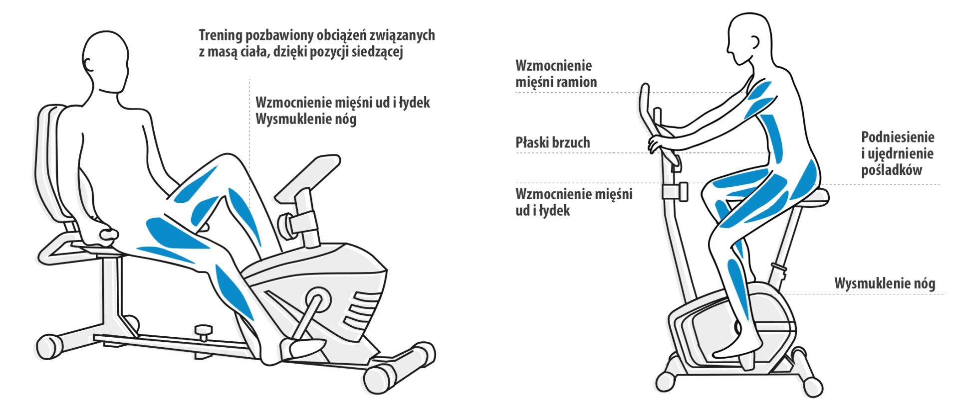 Porównanie rowerków pionowego i poziomego Porównanie rowerków pionowego i poziomego